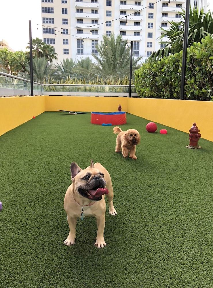 Hyatt Centric South Miami Hotel