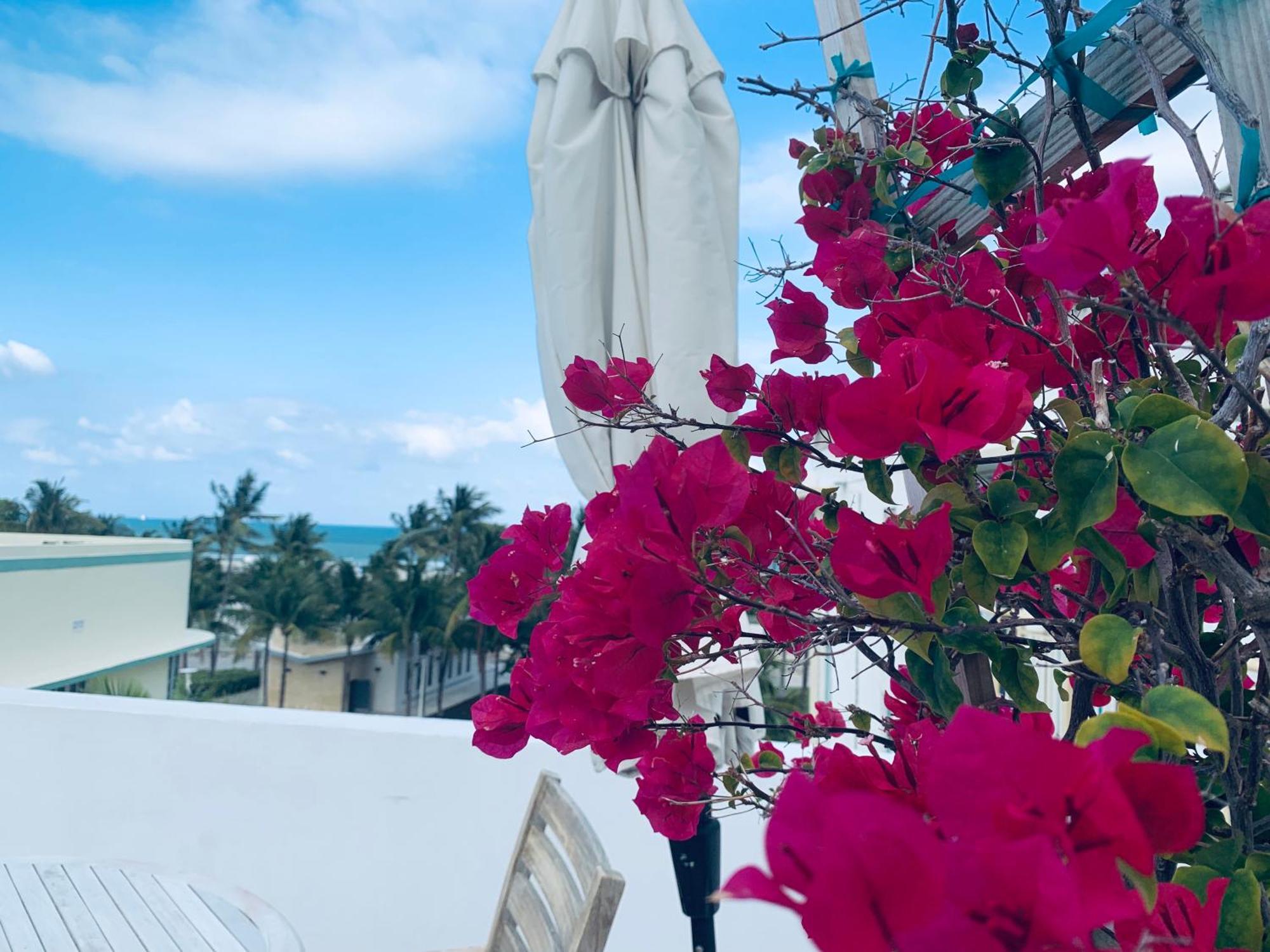 Aparthotel Sunrise Penthouse Ocean View Terrace Beach Few Steps Away Sobe *