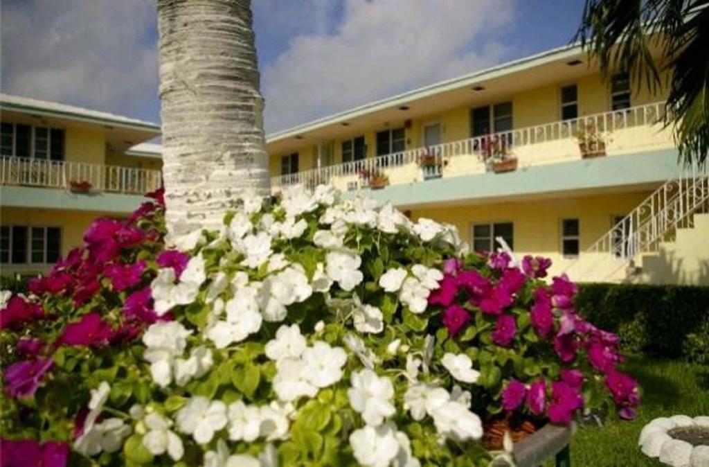 Sorrento Miami Beach
