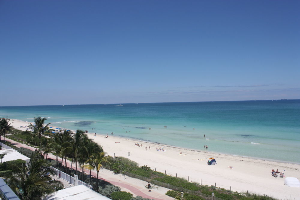 Dharma Miami At Monte Carlo * Miami Beach