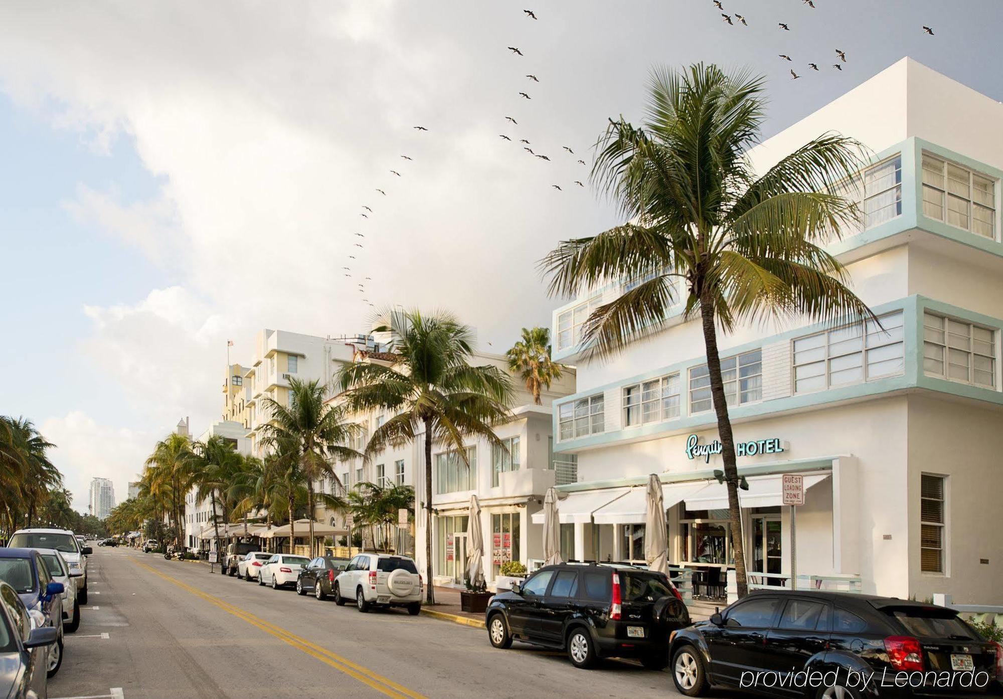 Penguin Miami Beach