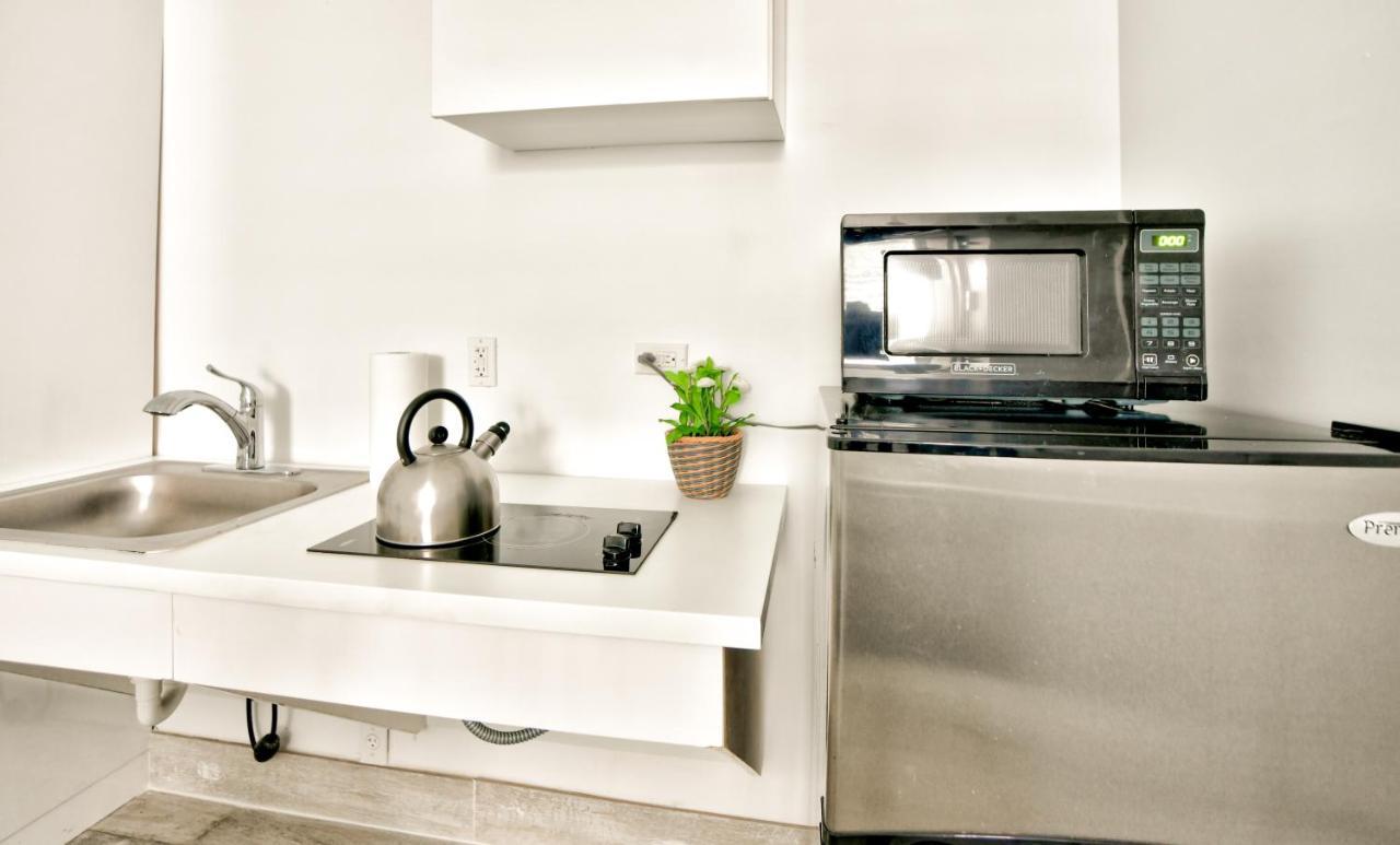 Delfino Suites South Beach By Red Group
