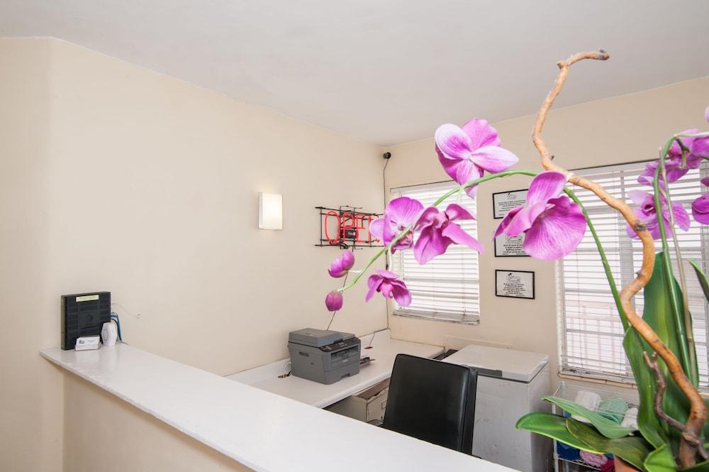 Island House South (adults Only) 3*