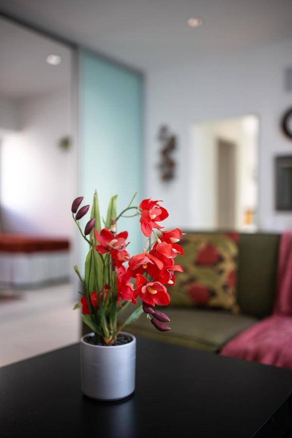 2bedroom 2bath Loft Exclusive Rooftop&jacuzzi,1block From Apartment