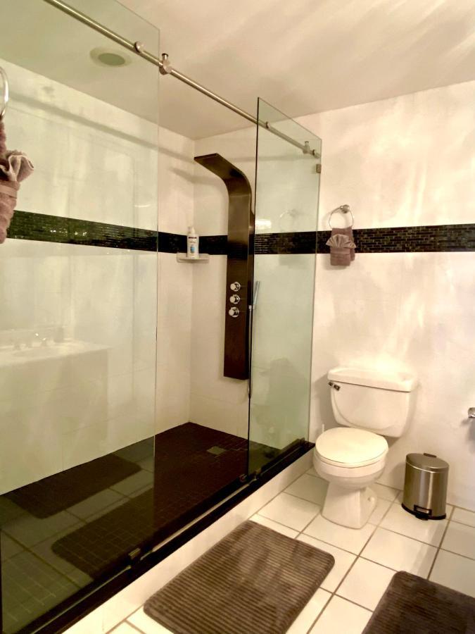 Apartment Large Luxurious Direct Ocean Front Penthouse Or Deluxe One Bedroom Ocean Front Condo-free Parking
