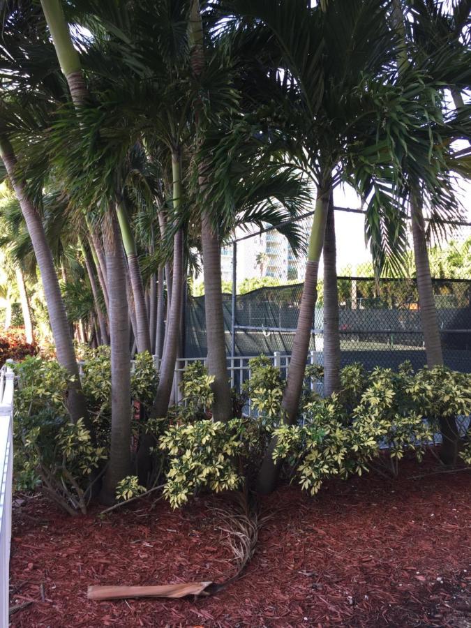 Apartment Disfruta Sunny Isles Ocean 1206 Str-02816 *