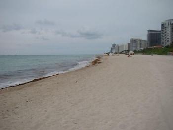 Casablanca By Design Miami Hotel Miami Beach