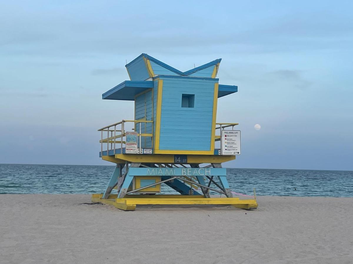 Apartment Beachfront In Carlyle On Ocean Drive