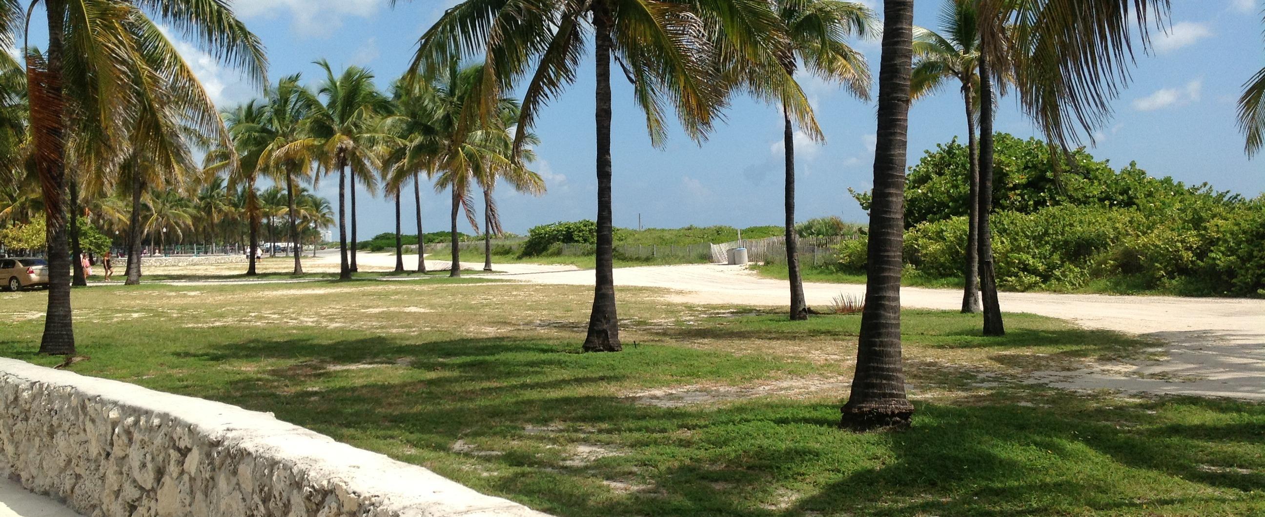 Hotel Harrison On The Beach 3*