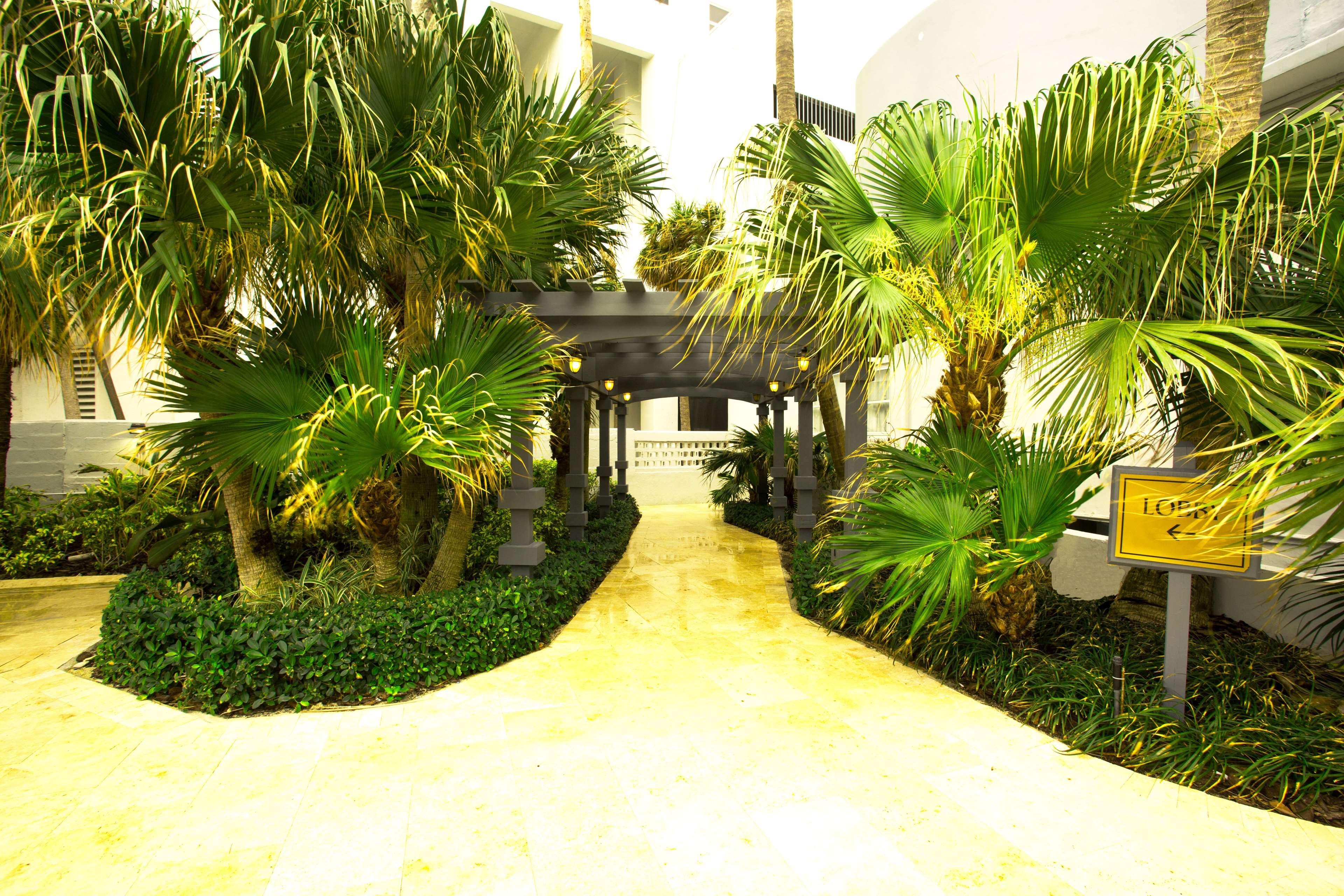 Lexington By Rl Miami 3*