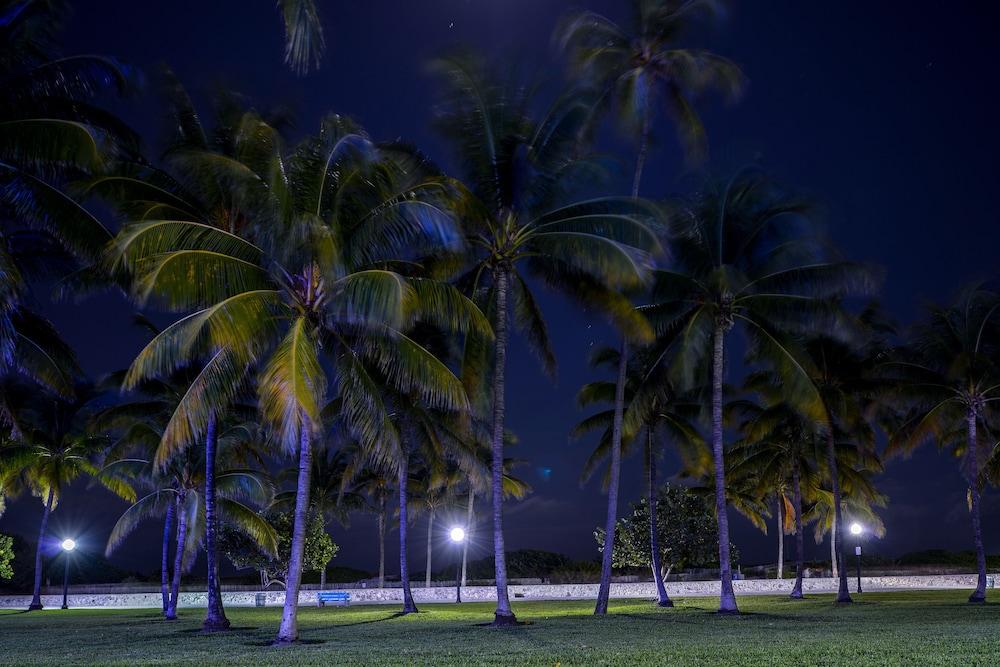 Hilton Vacation Club Crescent On South Miami 3* Miami Beach