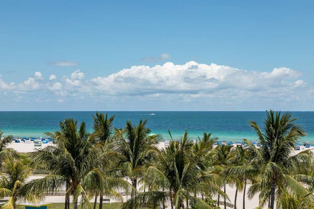 The Gabriel Miami South Curio Collection By Hilton *