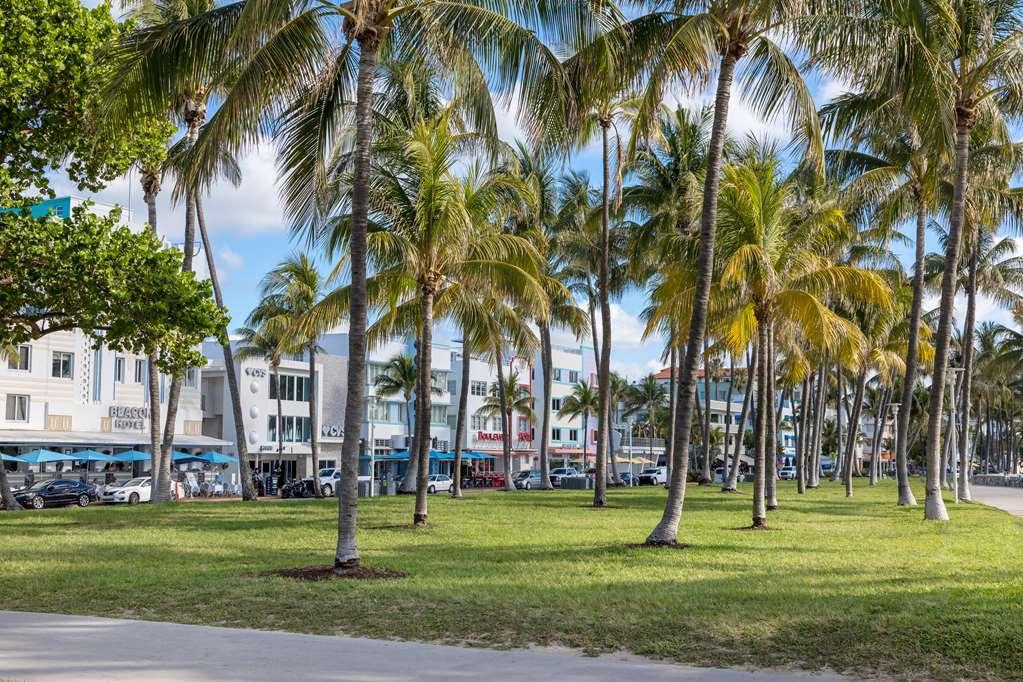The Gabriel Miami South Curio Collection By Hilton
