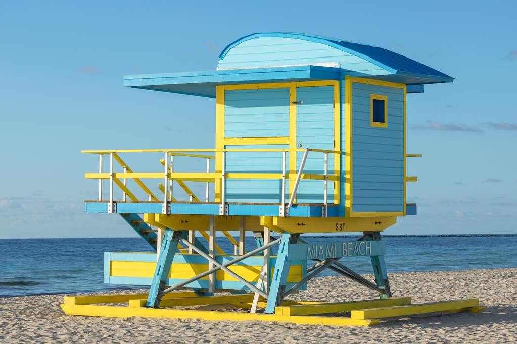 The Gabriel Miami South Curio Collection By Hilton * Miami Beach