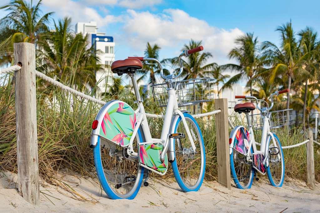The Gabriel Miami South Curio Collection By Hilton