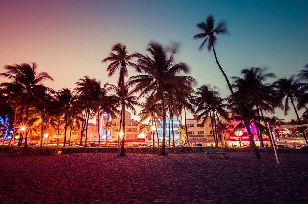 Cardozo South Hotel Miami Beach