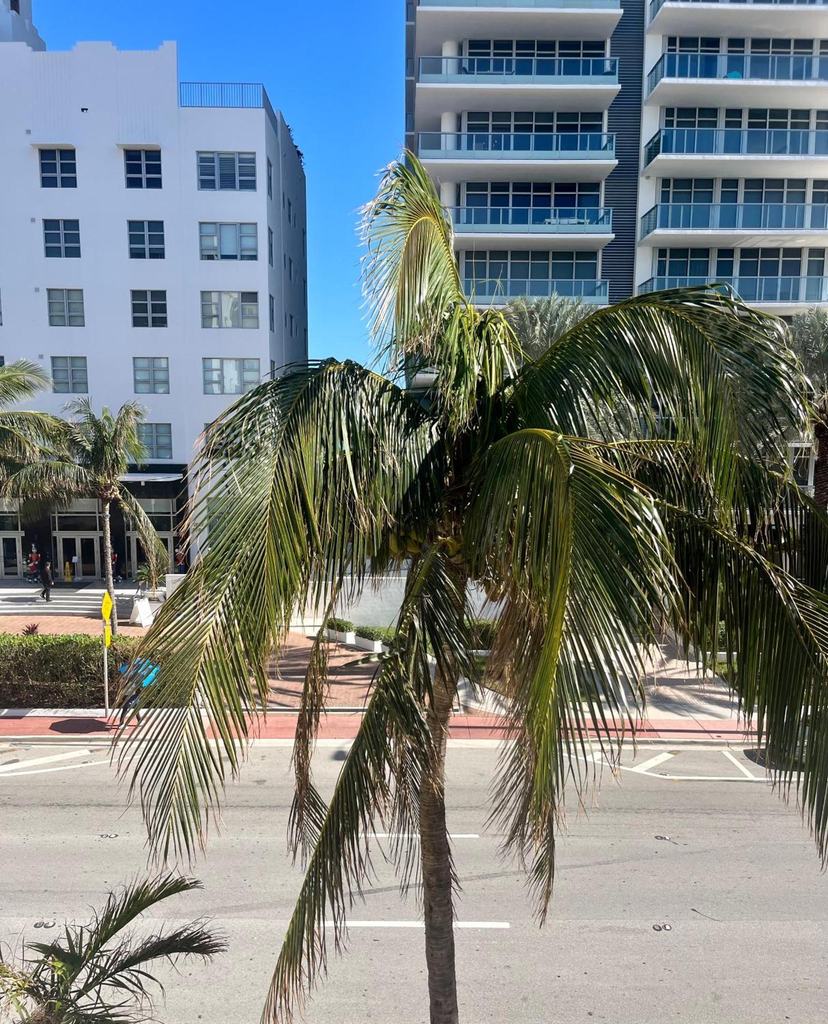 Ocean Dream By The Apartment *