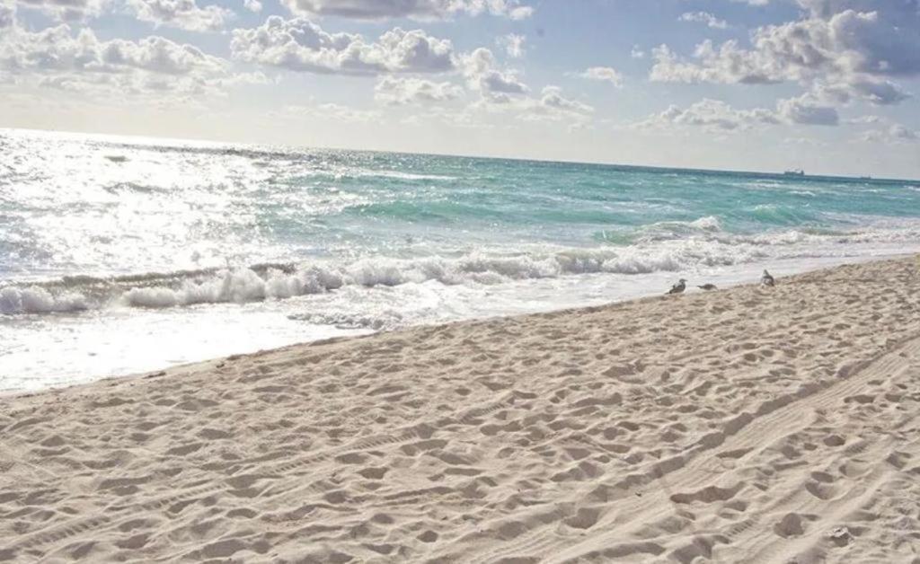 Beachfront Miami By Bl *