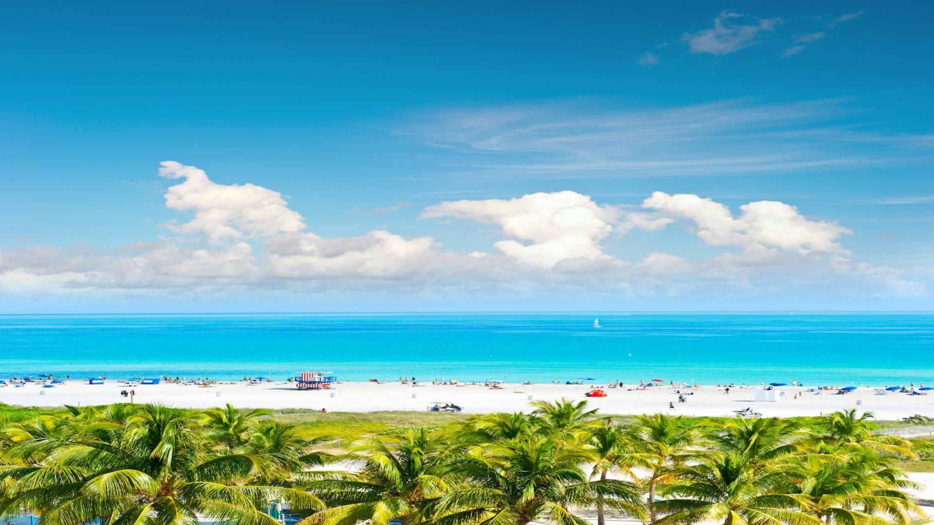 Oceanfront Loft At Castle Beach Club -m15 *
