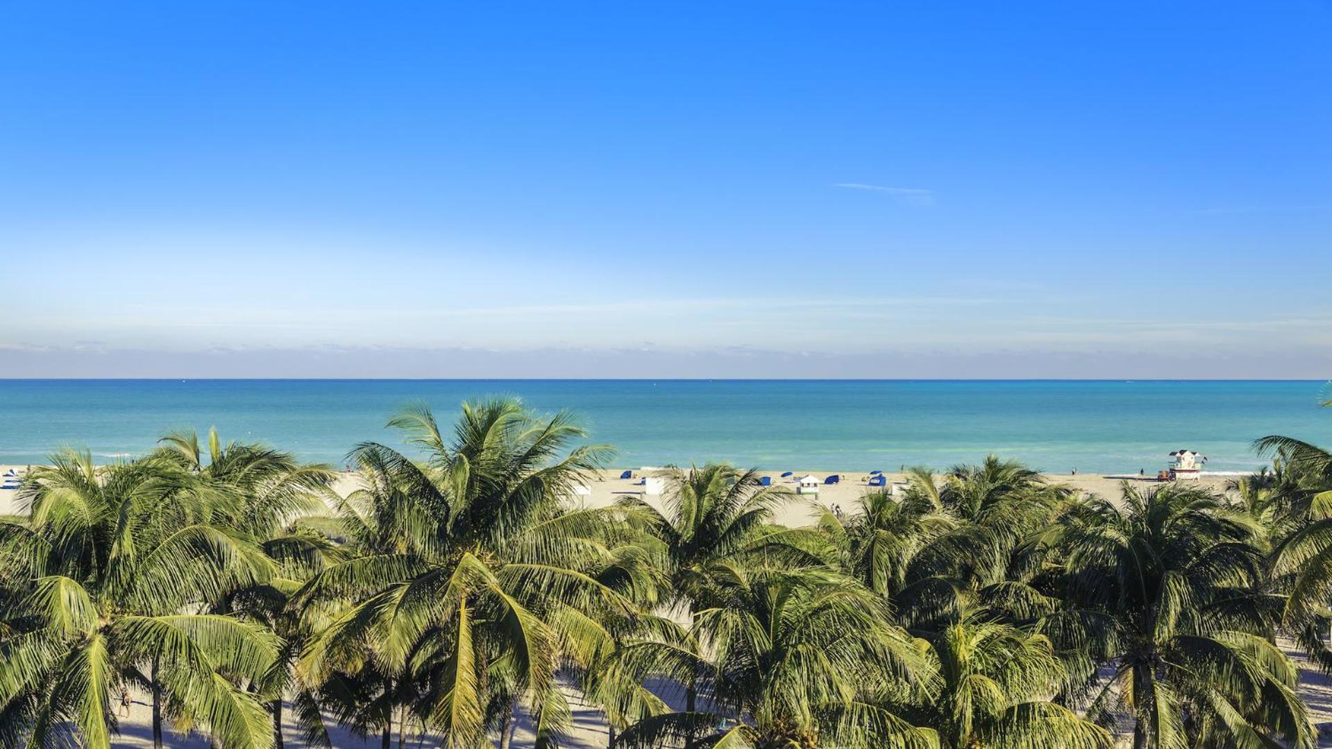 Oceanfront Loft At Castle Beach Club -m15 *