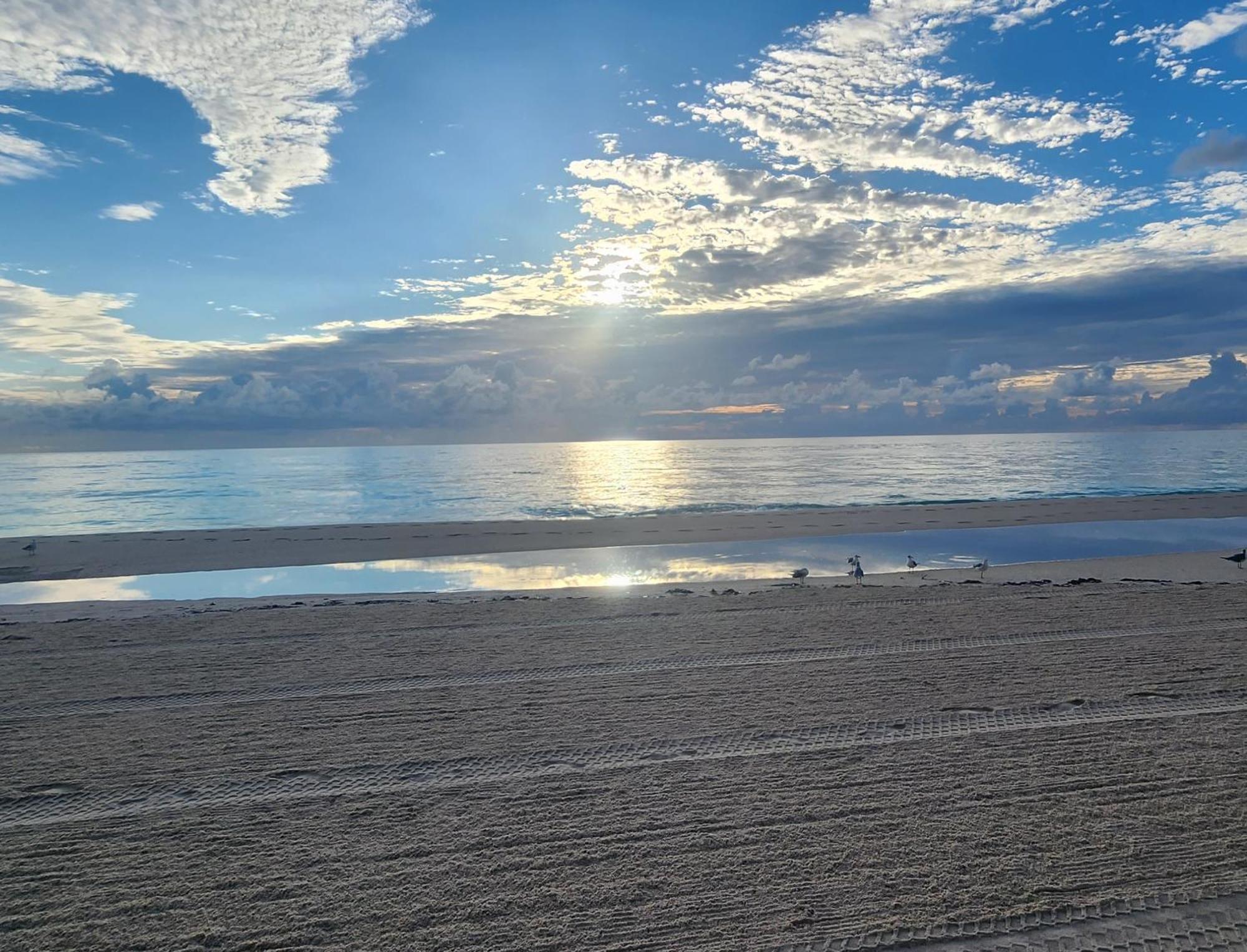 King David Dream * Miami Beach