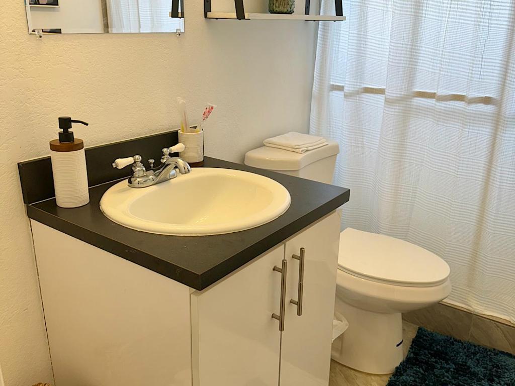 Luxury Miami 3br & 5 Minutes To South * Miami Beach