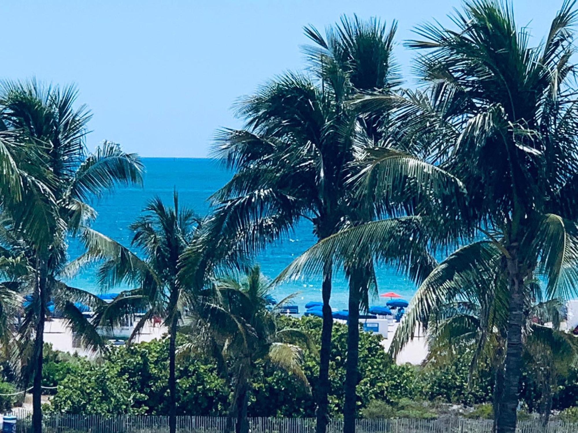 Apartment Beachfront Ocean Dr White Paradise Sobe 311