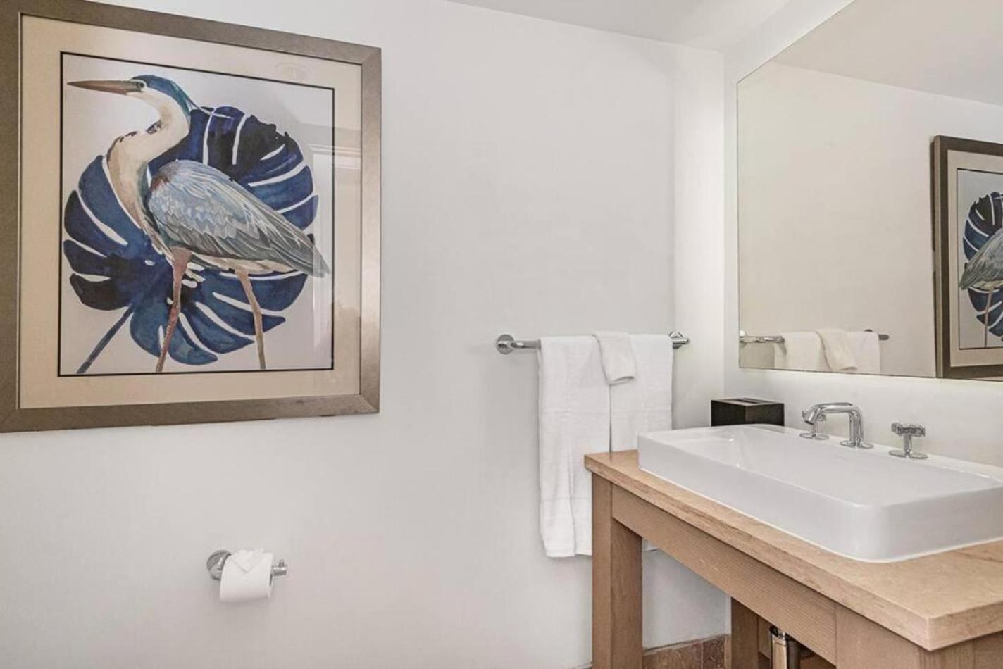 1 King 1br 1 5ba Apartment