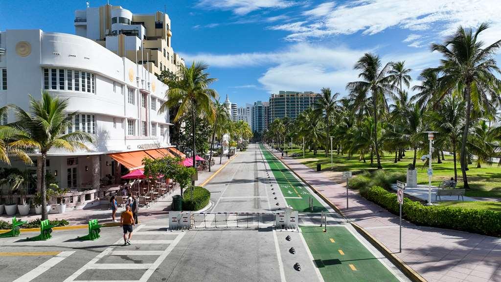Cardozo South Miami Beach