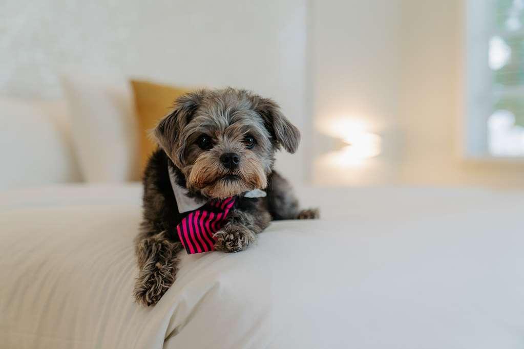 Hotel Cardozo South *