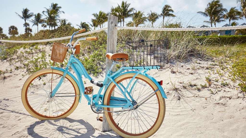 Cardozo South Hotel Miami Beach