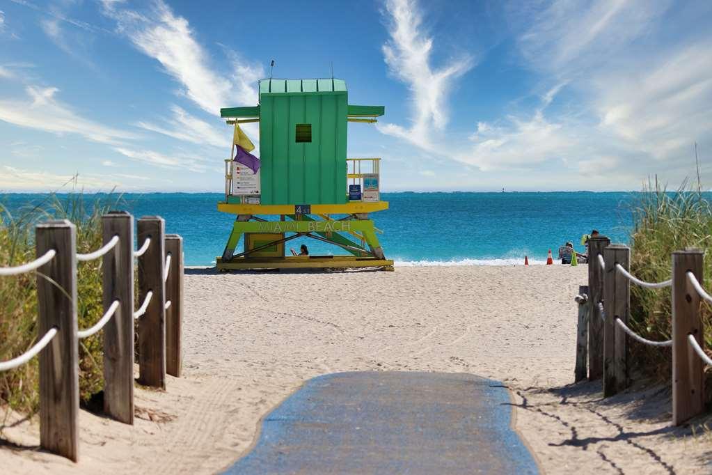 Cardozo South Miami Beach