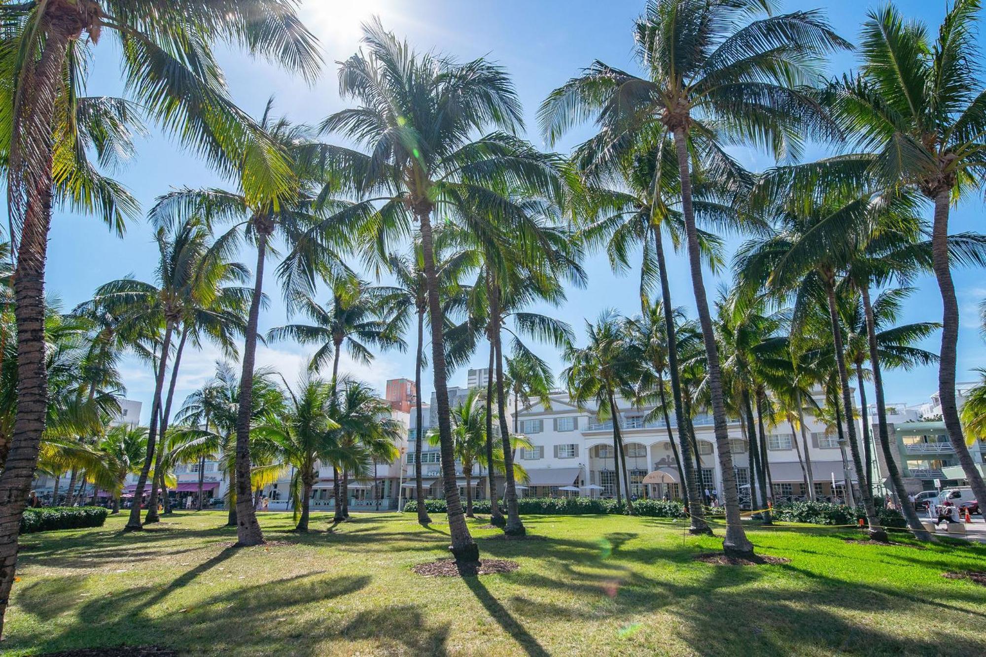 Apartment Cozy South 1br Near & Ocean Drive