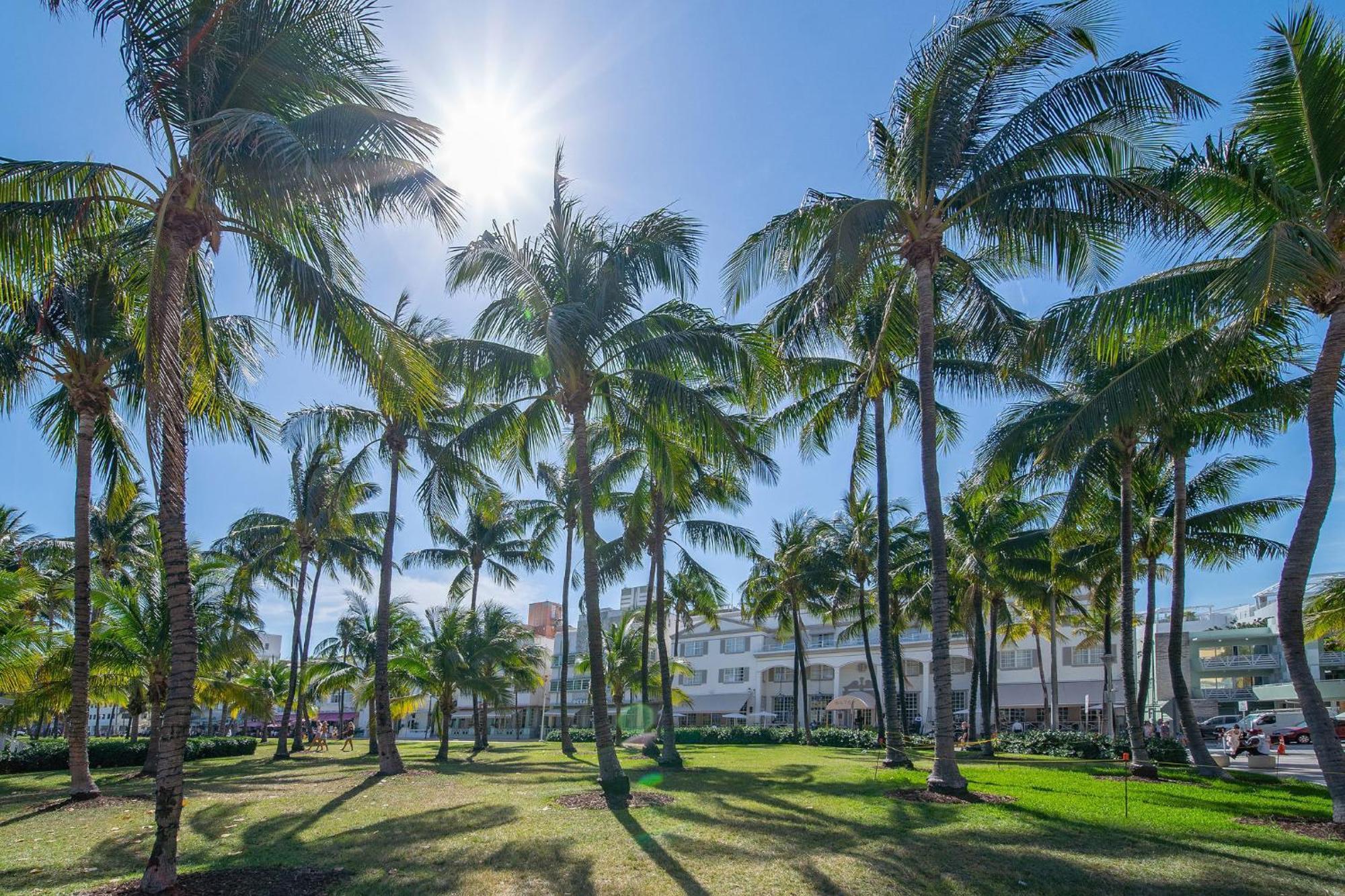 Beachside 1 B/r, W/2 Queen Beds, Ocean Drive Sobe Apartment *