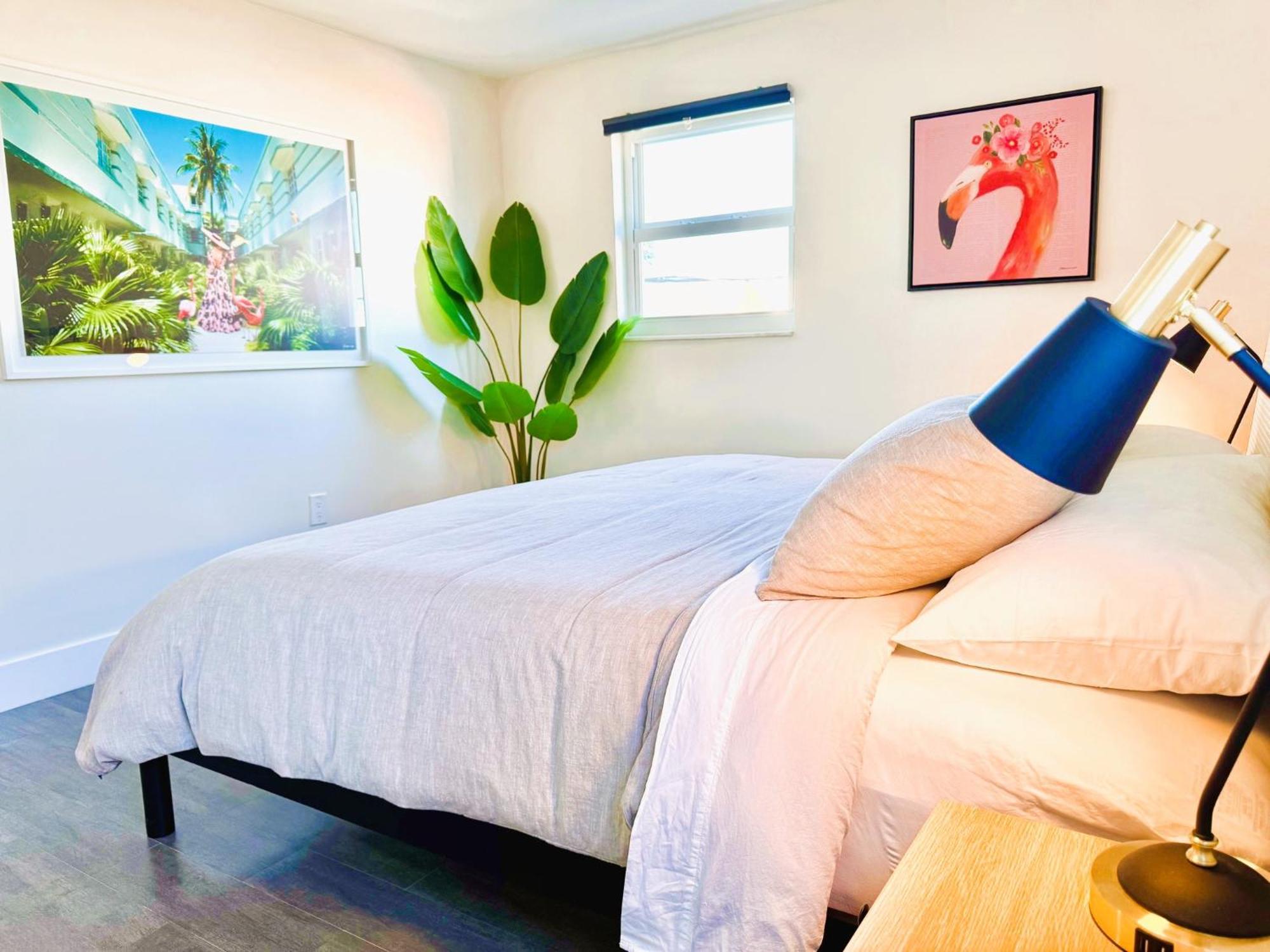 Apartment Homey Haven In Vibrant South