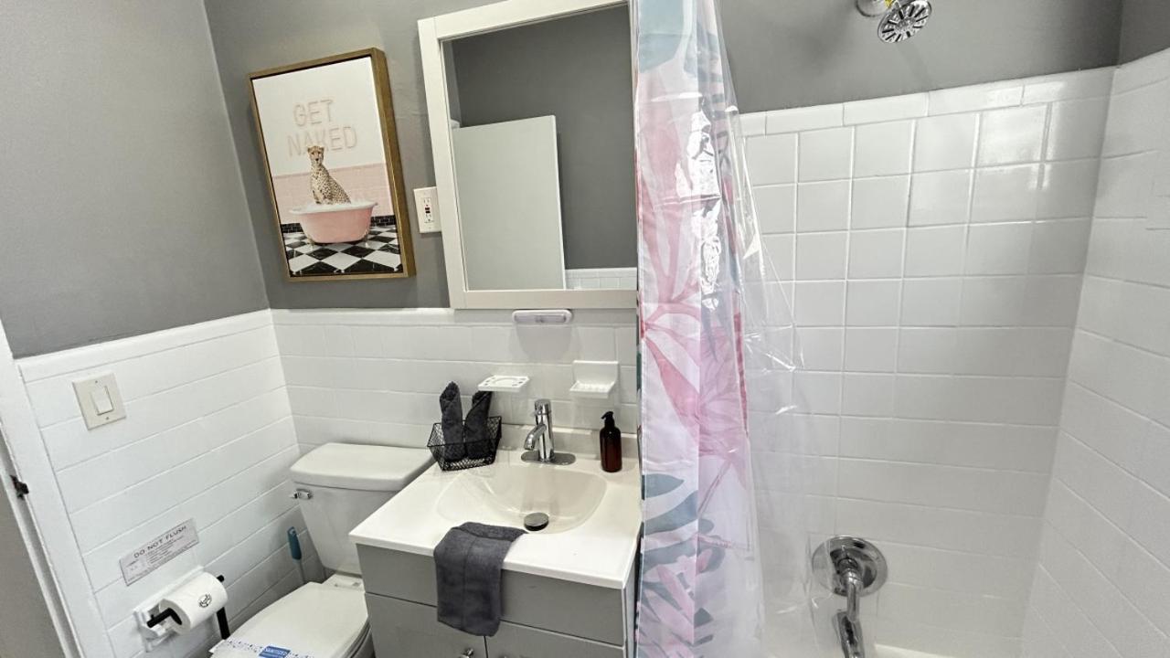 Apartment Flamingo Dreams Chic South Getaway Miami Beach