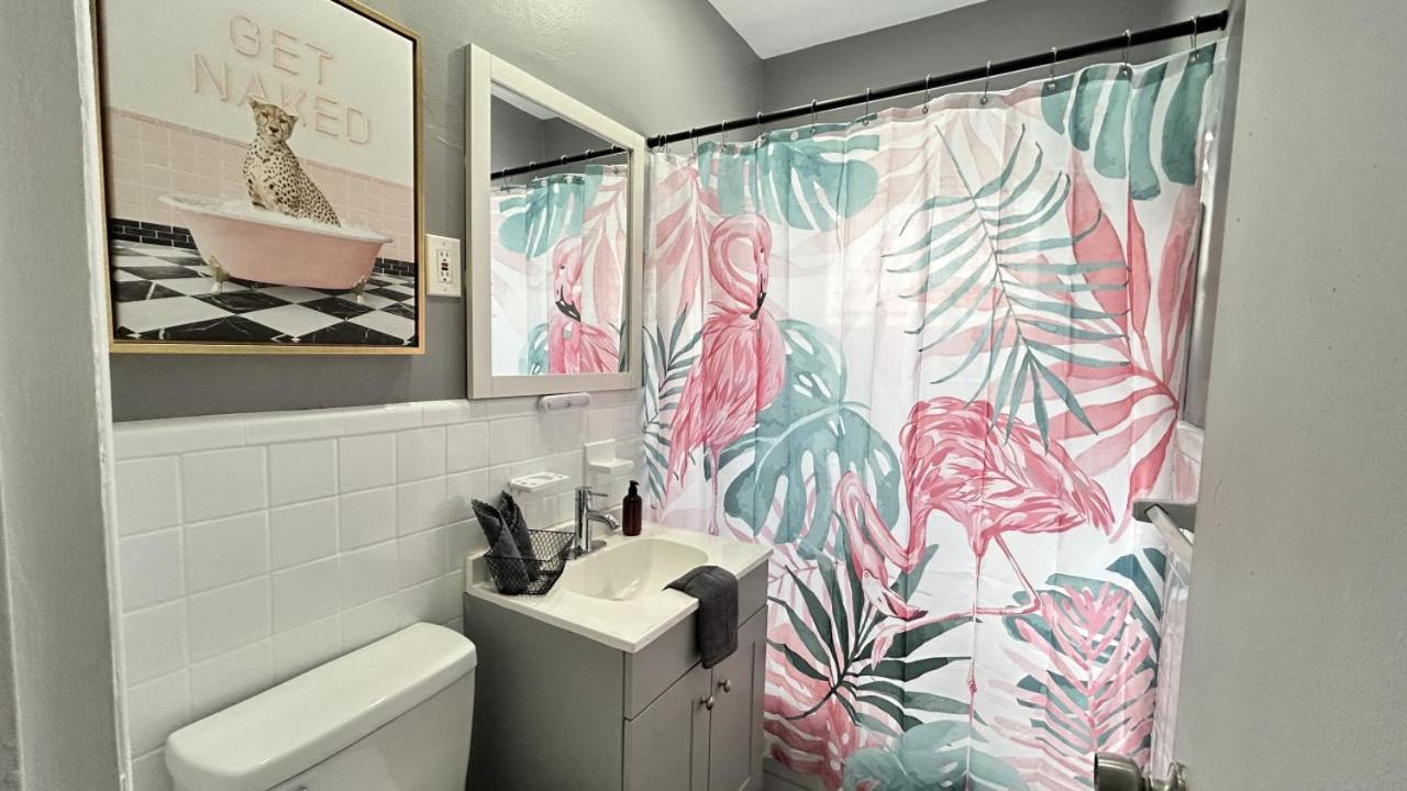 Apartment Flamingo Dreams Chic South Getaway