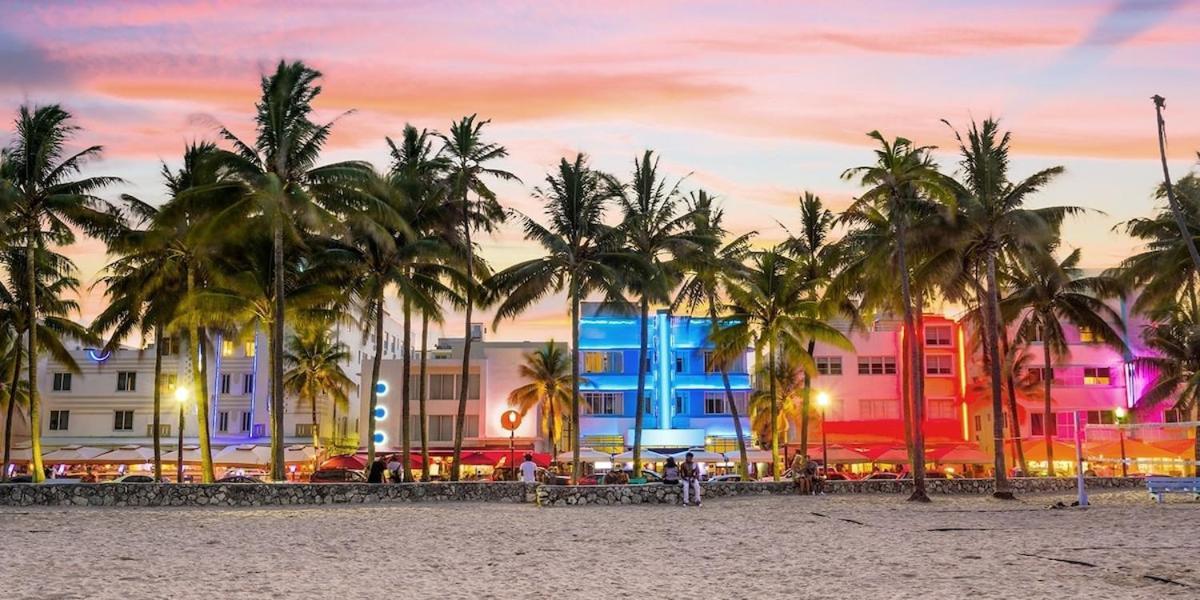 Apartment Sunny Oasis Miami Tranquil Hideaway Miami Beach