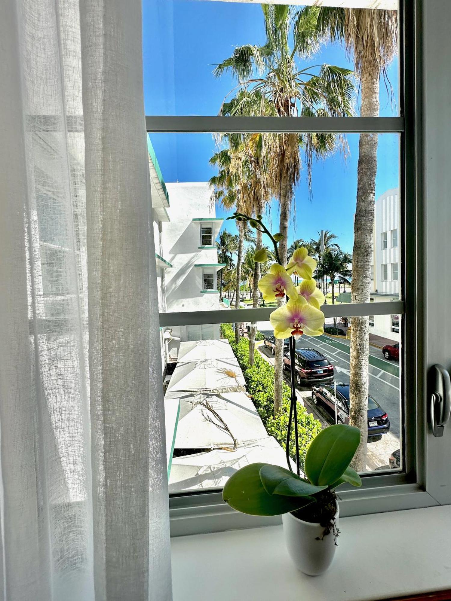 Hotel Avalon
