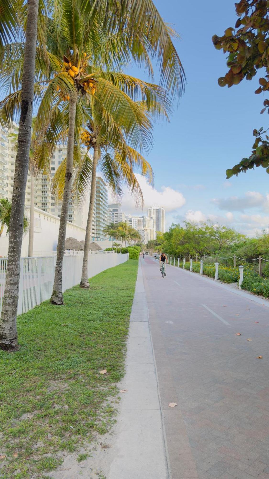 Oceanfront Luxury Miami Escape Pool&gym