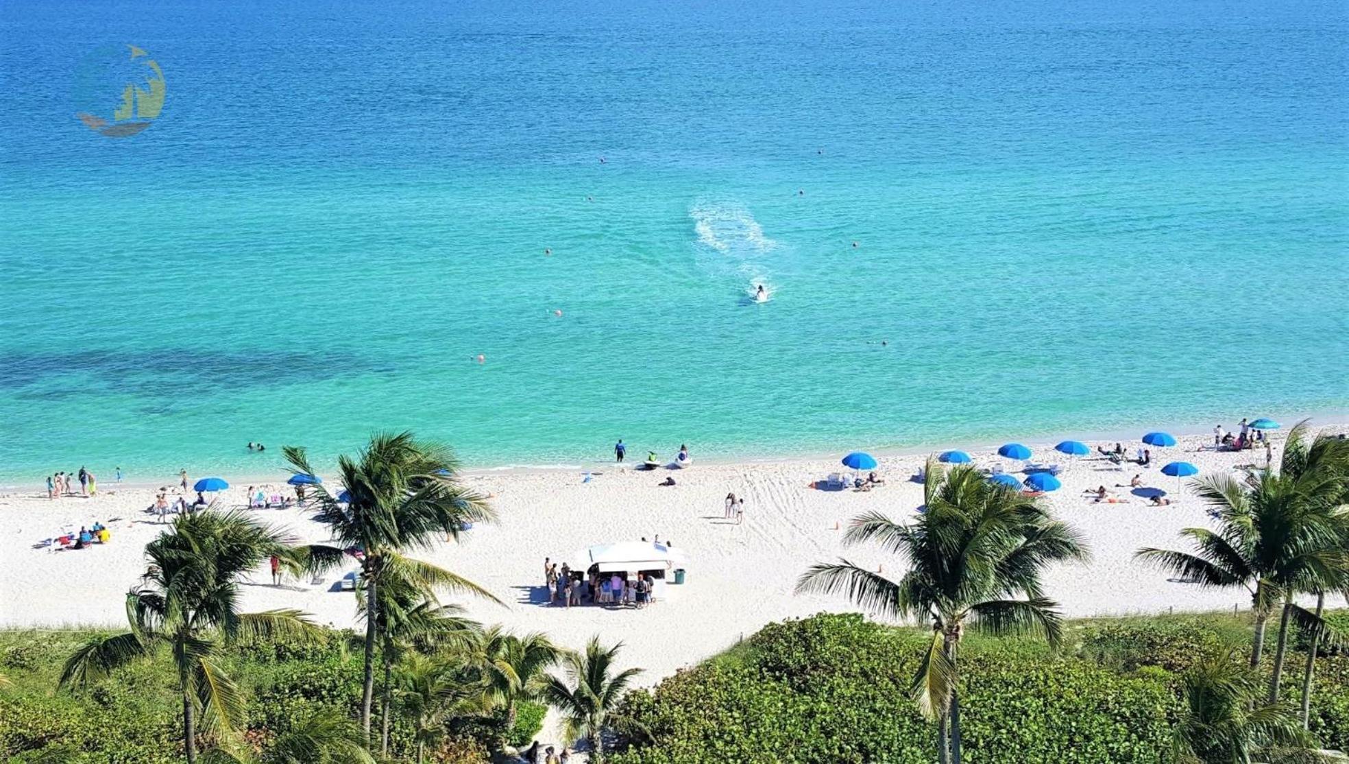Alexander 611 Miami Beach