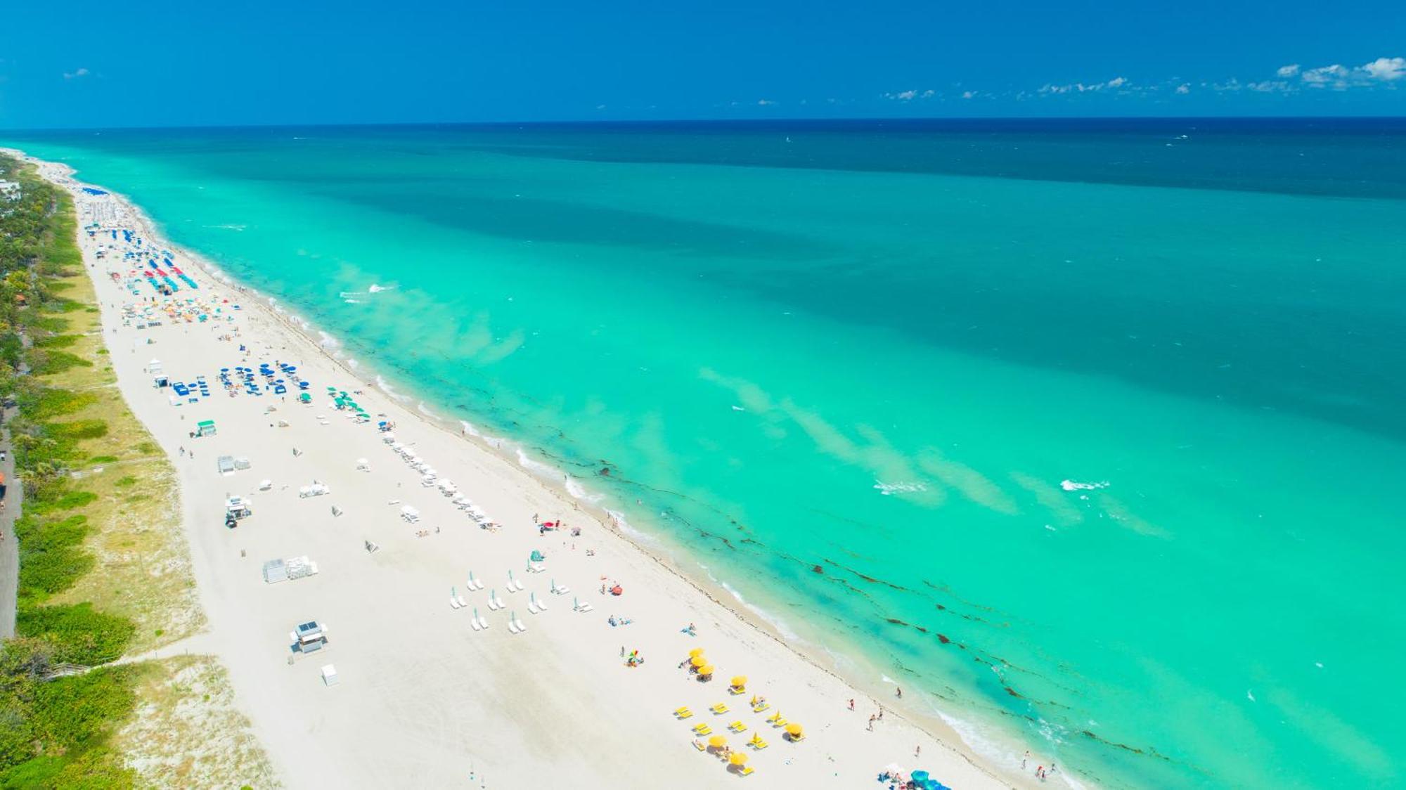 Ocean View At W South -1219 Miami Beach