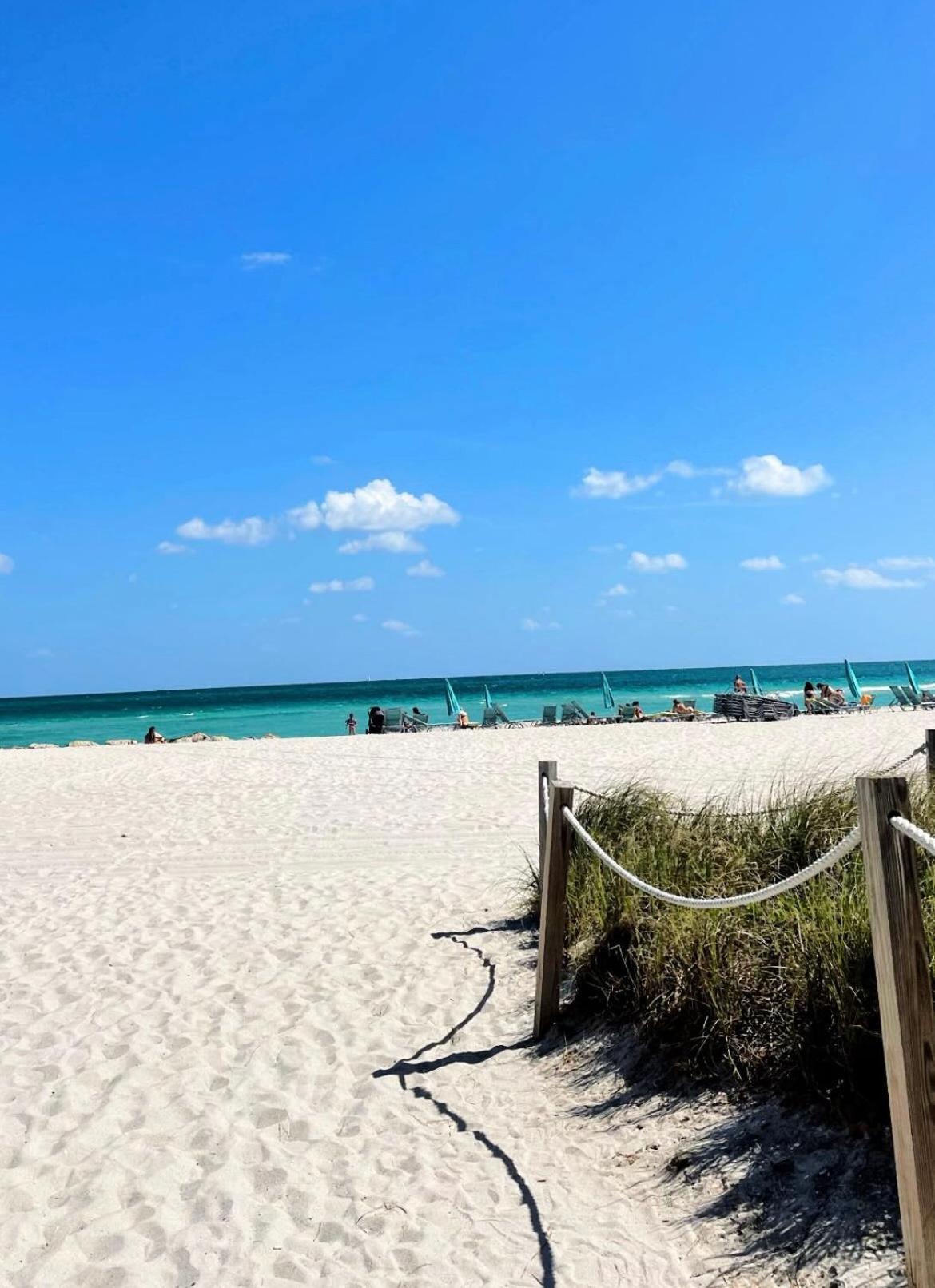 Privada 2 Camas A 300 Metros De La Playa Miami Beach