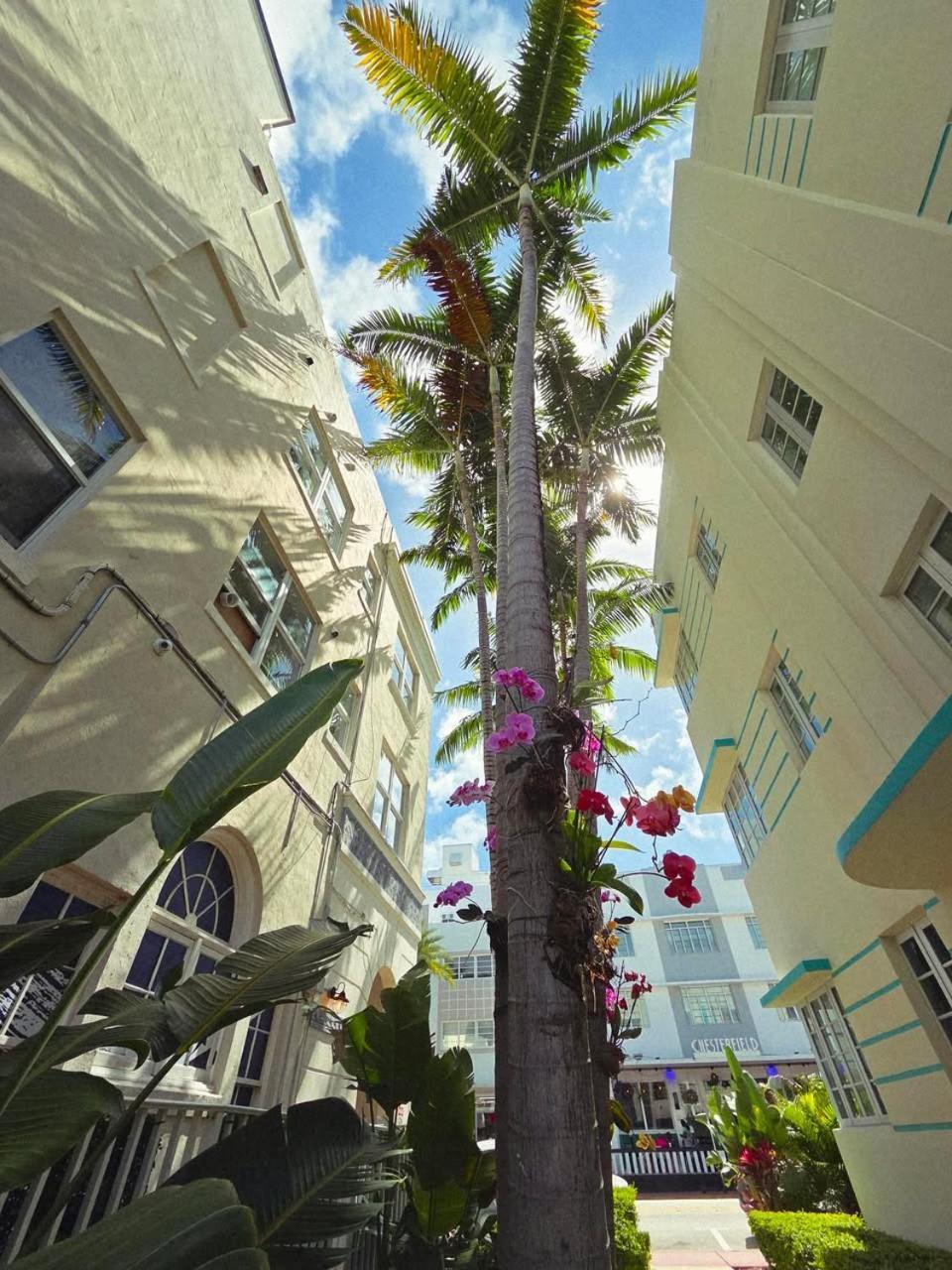Luxuri Aparthotel Miami Beach