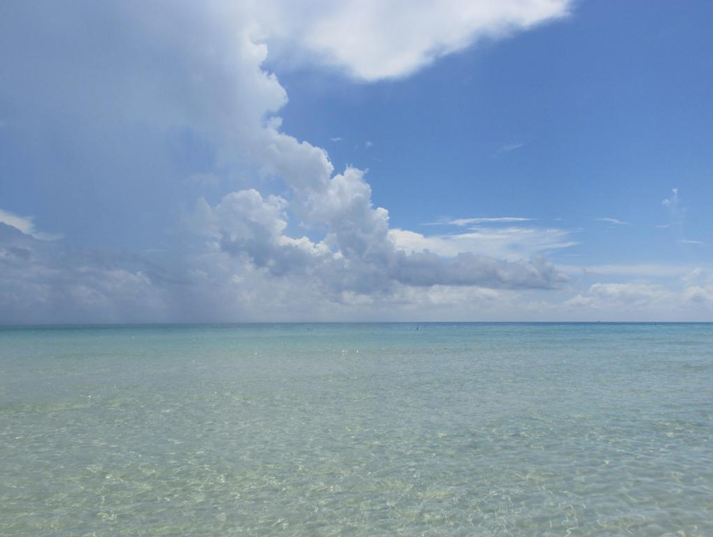 Ocean Blue