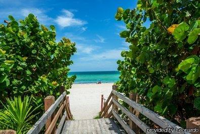 Silvia Miami Apartment Miami Beach