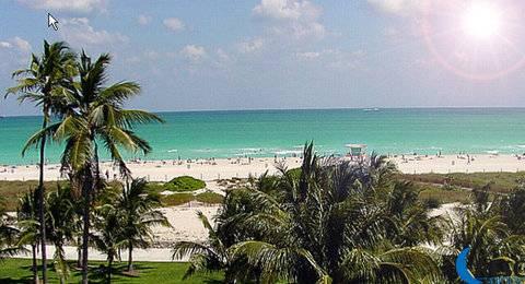 Hilton Vacation Club Crescent On South Miami Hotel