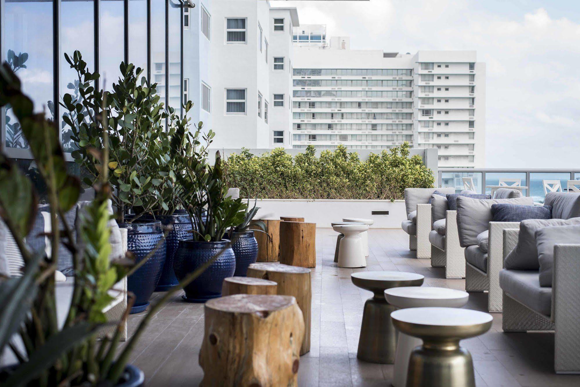 Dharma Miami At Monte Carlo