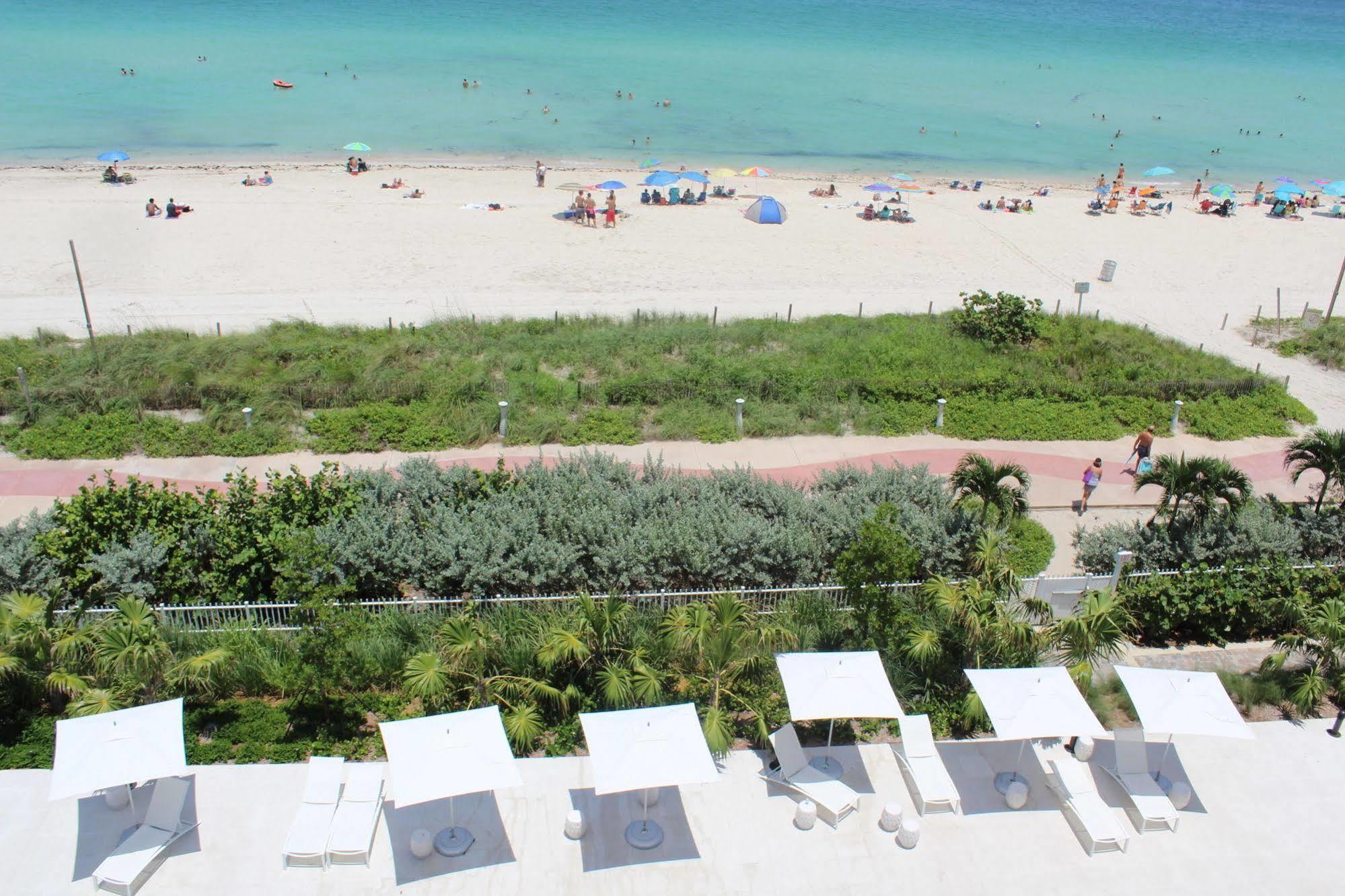 Dharma Miami At Monte Carlo * Miami Beach
