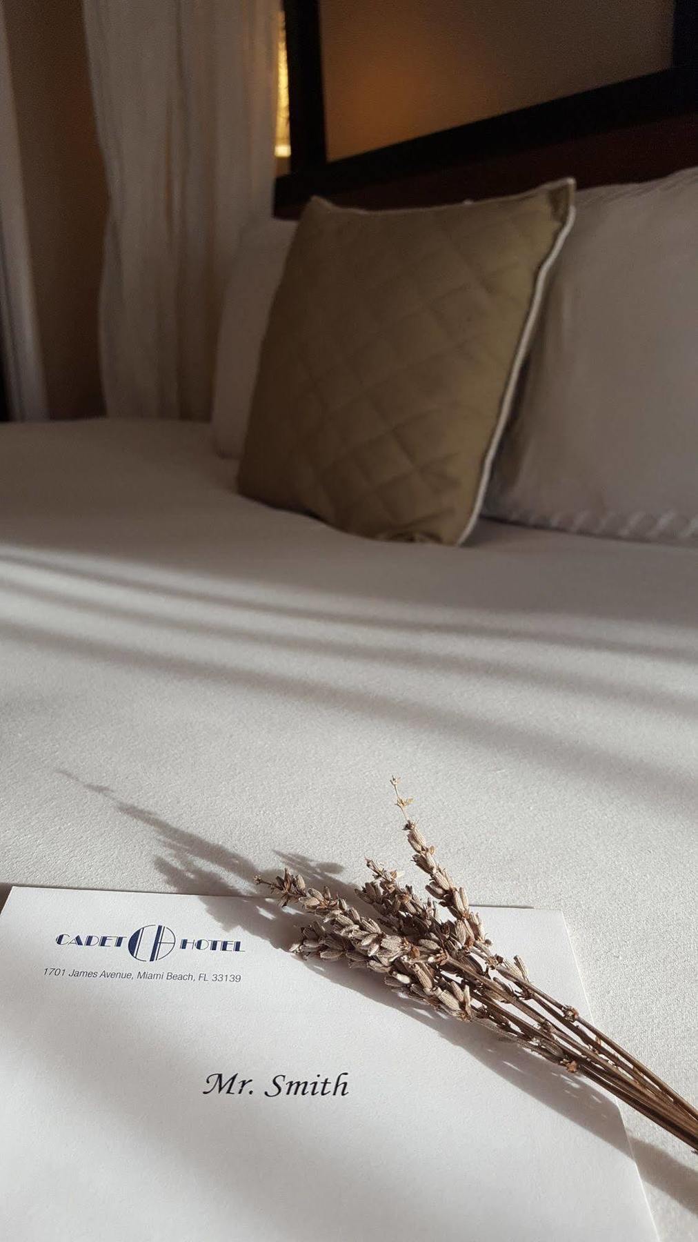 Cadet Hotel 4*
